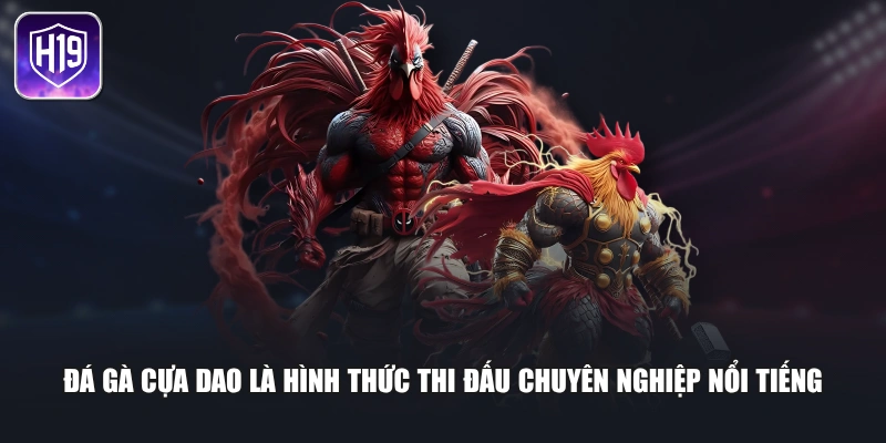 Đá gà cựa dao là hình thức thi đấu chuyên nghiệp nổi tiếng