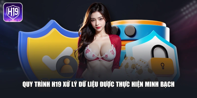 Quy trình H19 xử lý dữ liệu được thực hiện minh bạch